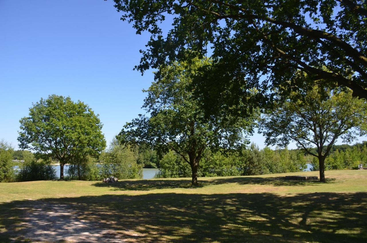 Drents Genieten - Lavendelheide Met Uitzicht Op Het Water Erm Εξωτερικό φωτογραφία